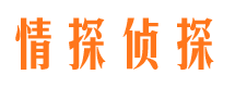 大石桥私人调查